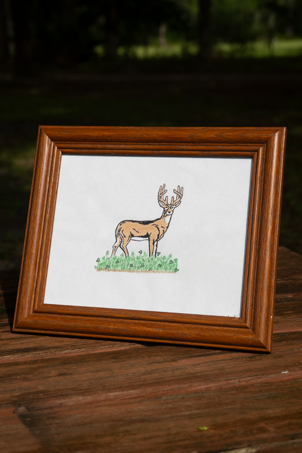 Bachelor Buck Tee - Full Foliage (Limited Edition)