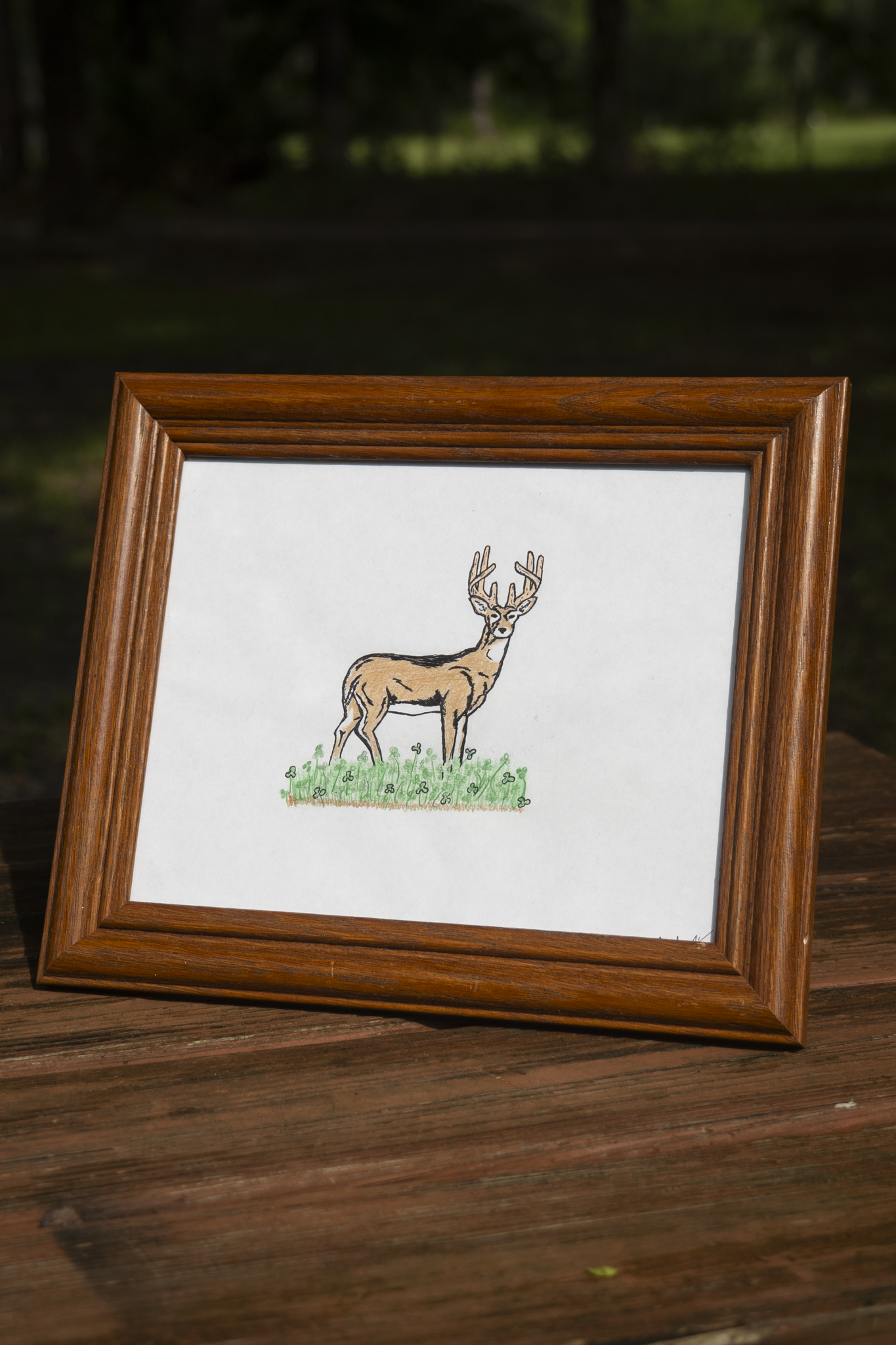 Bachelor Buck Hat - Natural/Green
